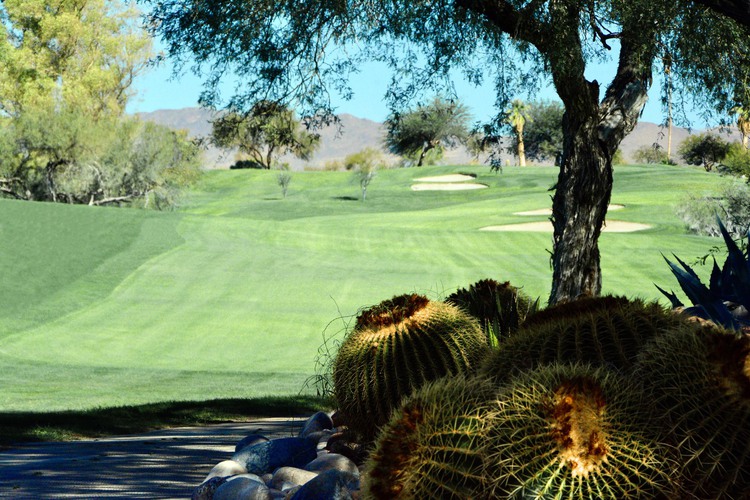 Desert golf course with sand traps and cacti