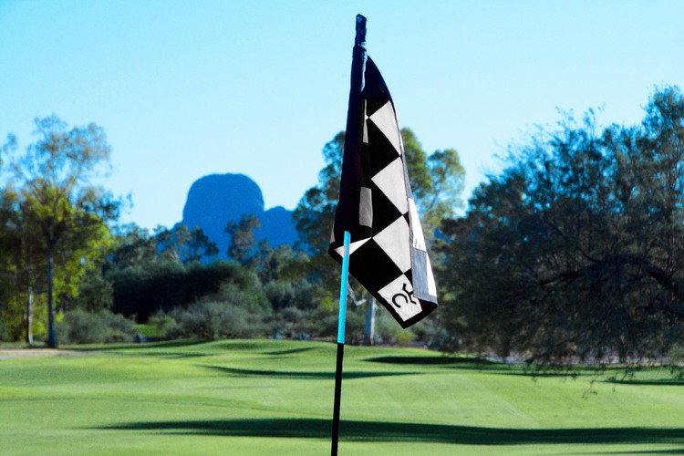 Black and white checkered flag with golf course in background