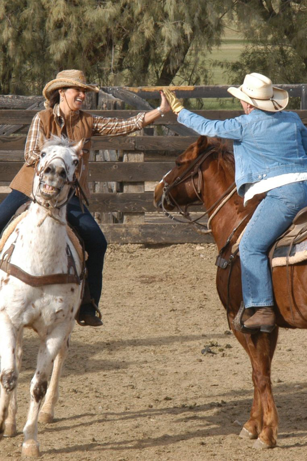 People high-fiving on horses